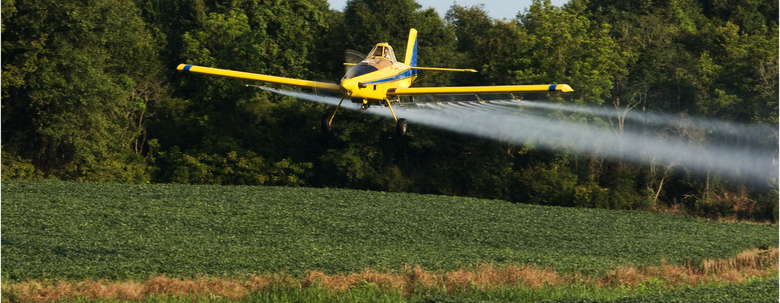 Windsocks for seeding and spraying crops 