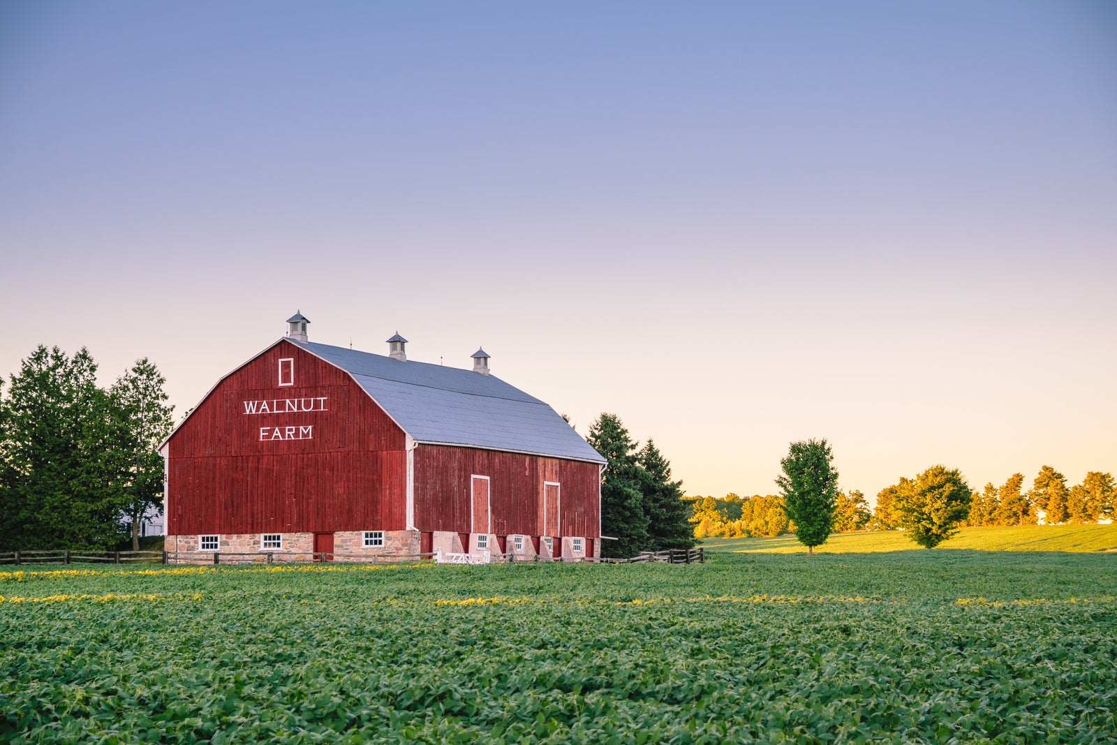 7 Ways a Custom Windsock Can Help Your Farm's Brand! - The Custom Windsock Co.