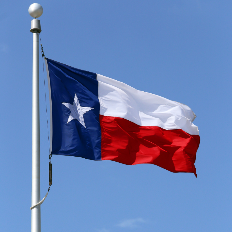 State of Texas Flag